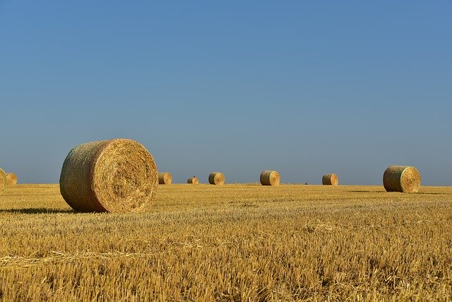 הפשרת קרקע חקלאית – מה זה אומר בעצם